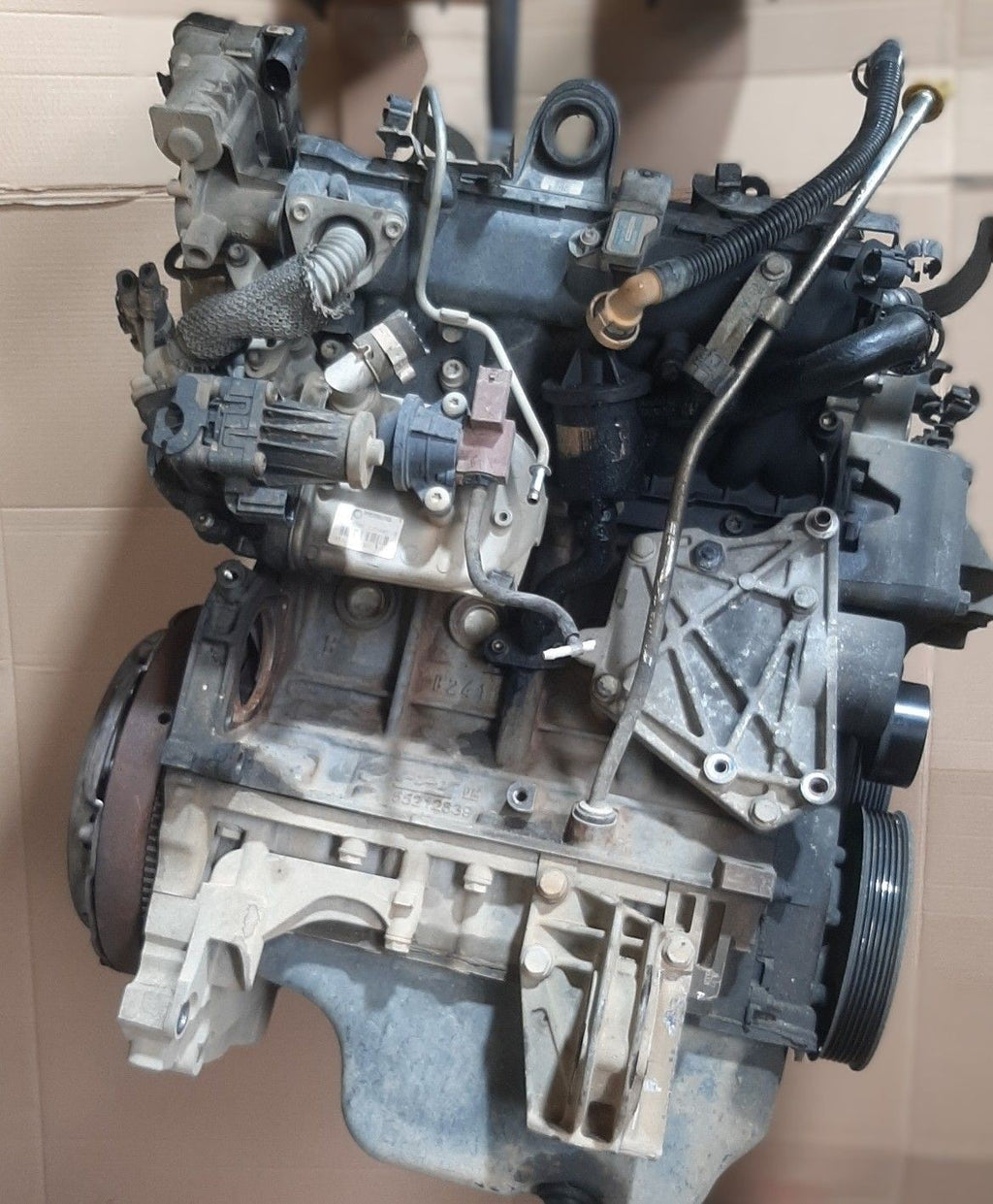 Image #4